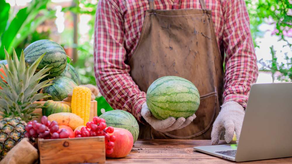 agricultor trata de vender fruta online